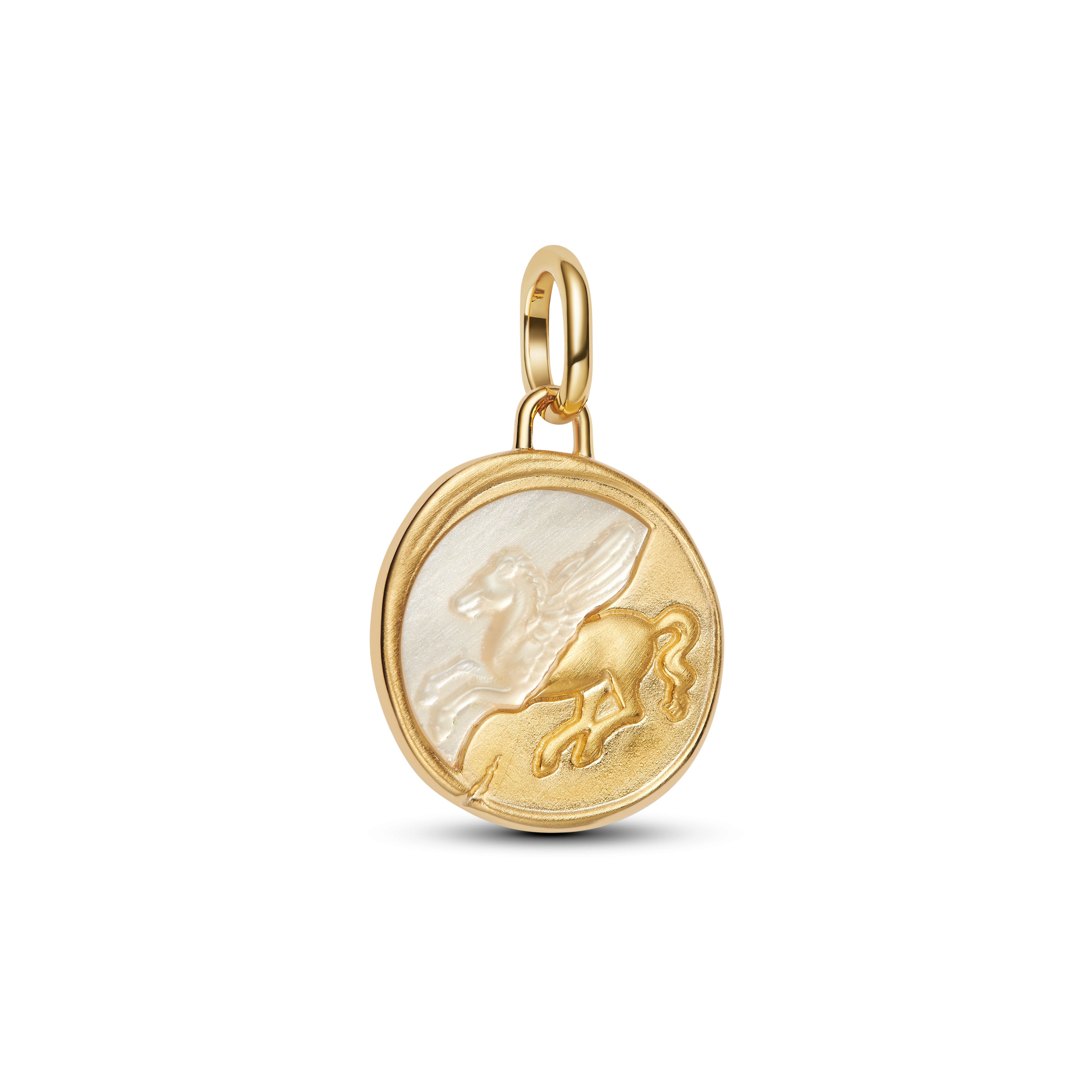 Pegasus Medallion Charm