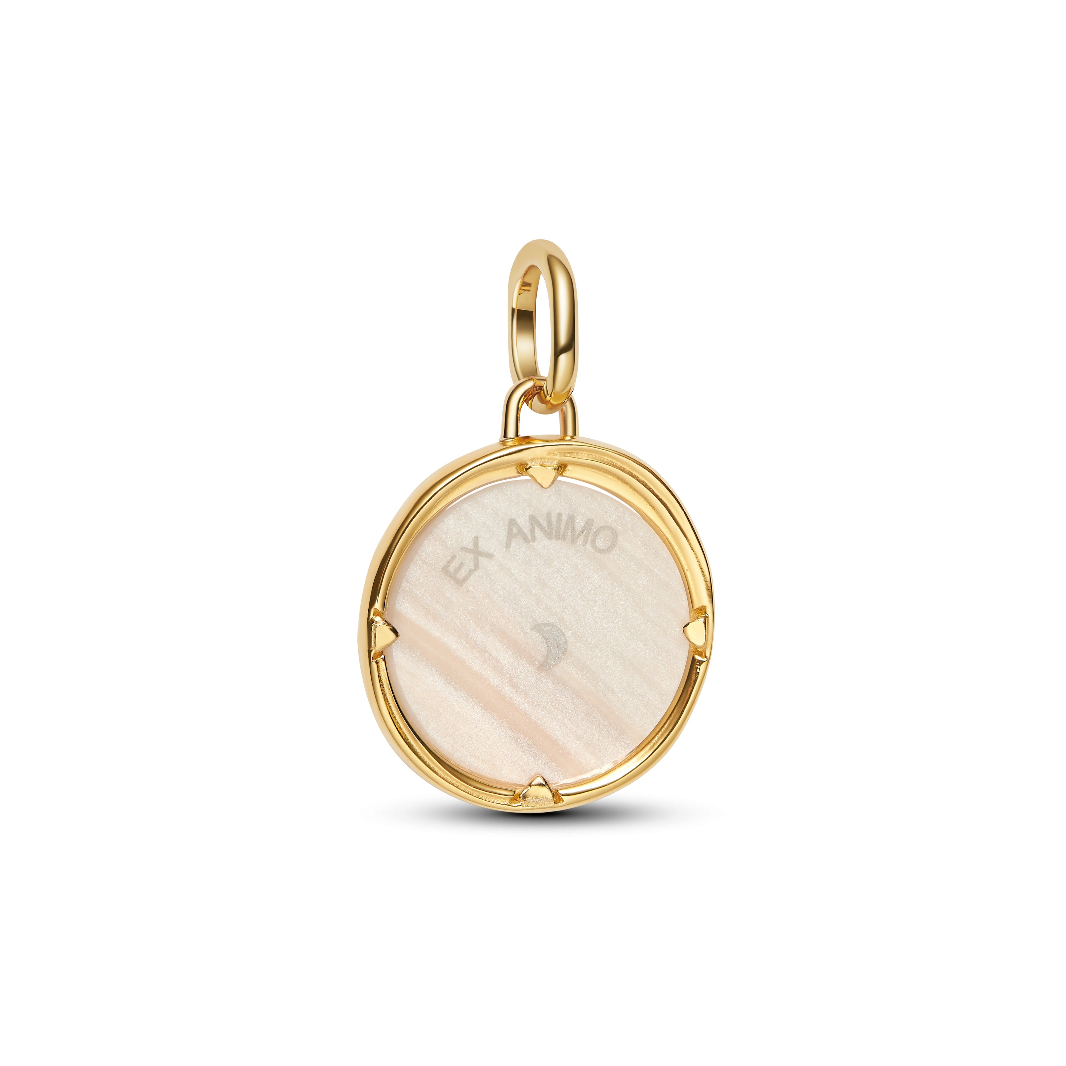 Pegasus Medallion Charm