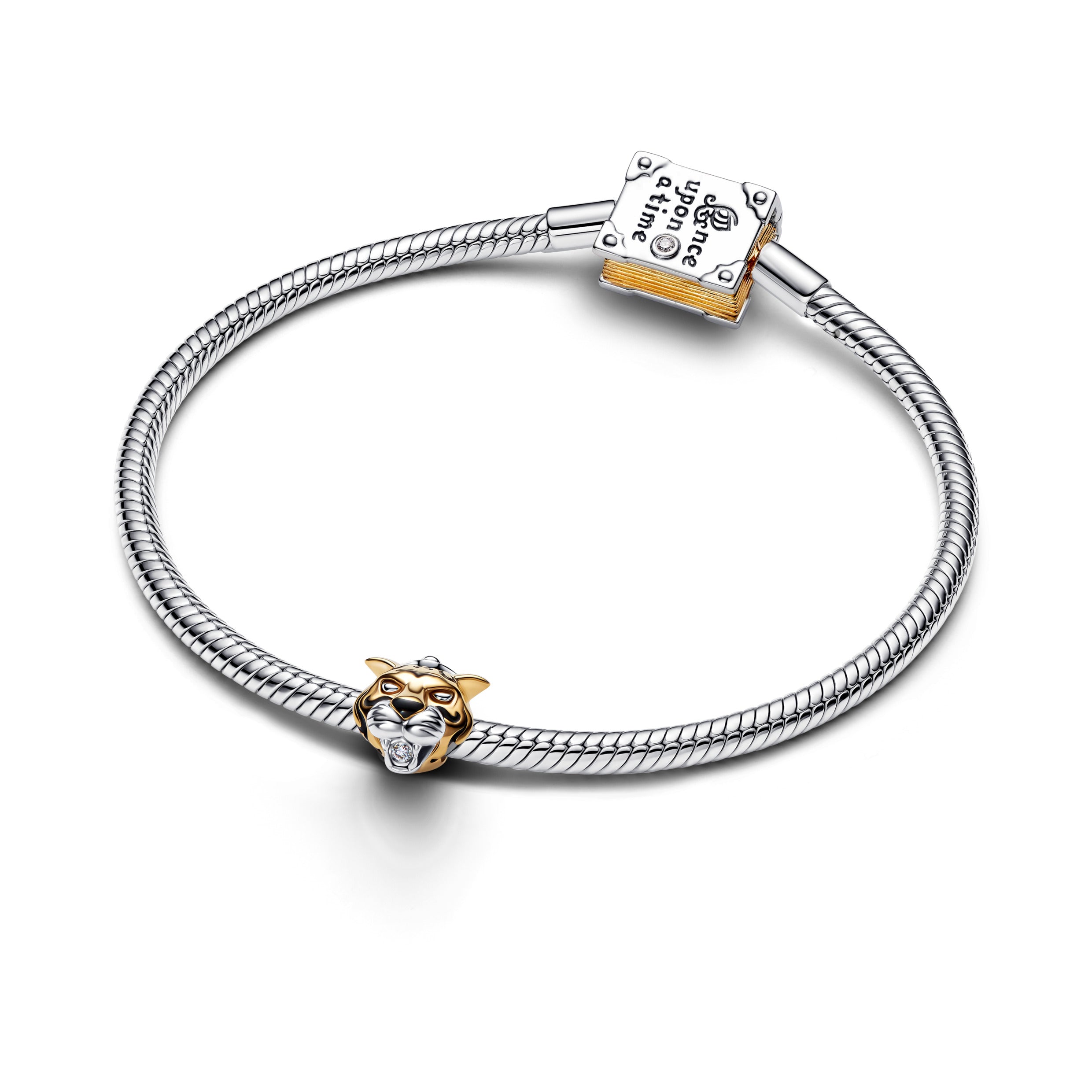 Disney Princess Jasmine Charm