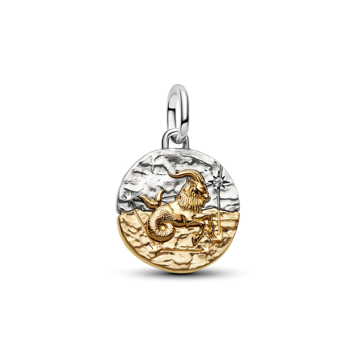 Capricornus Medallion