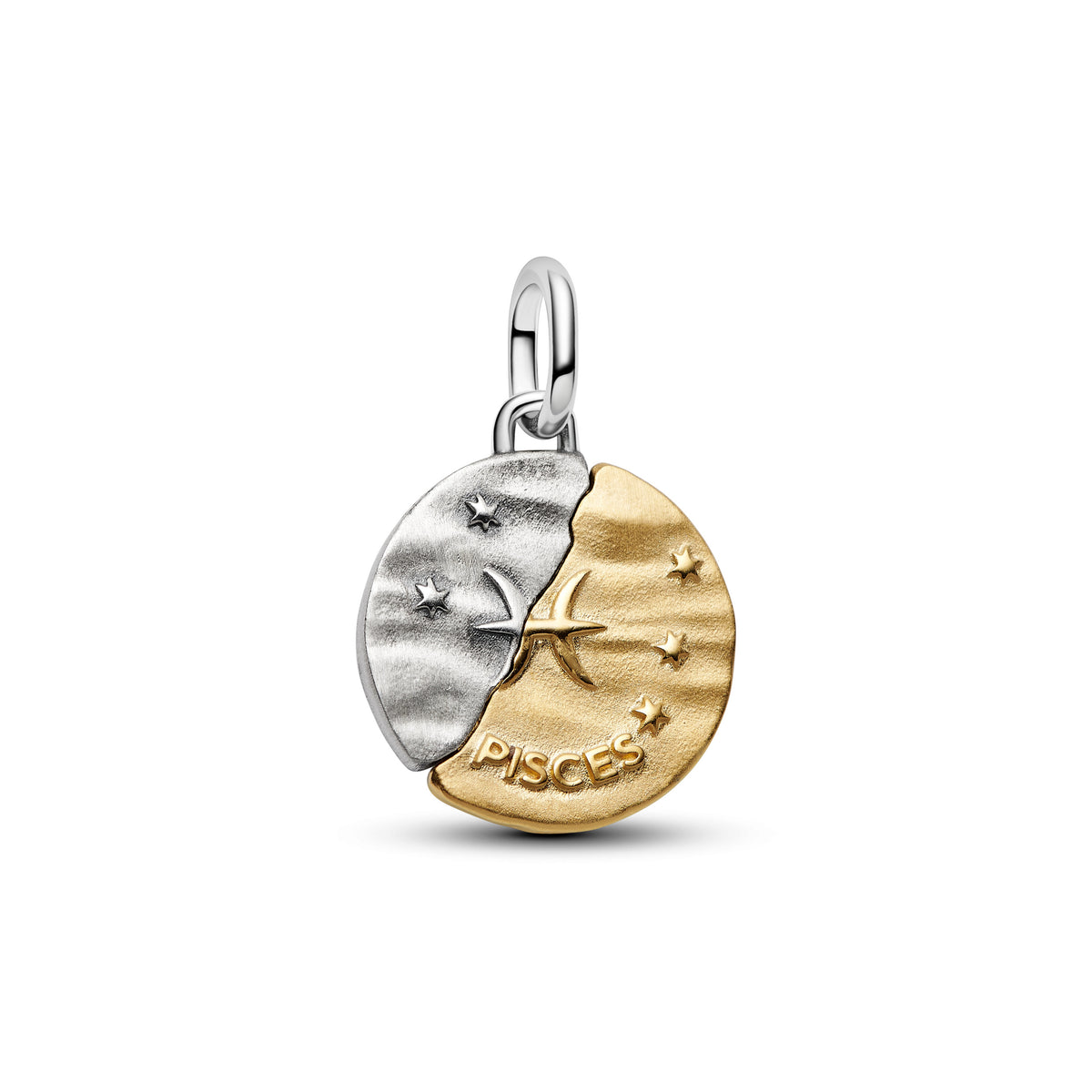 Pisces Medallion