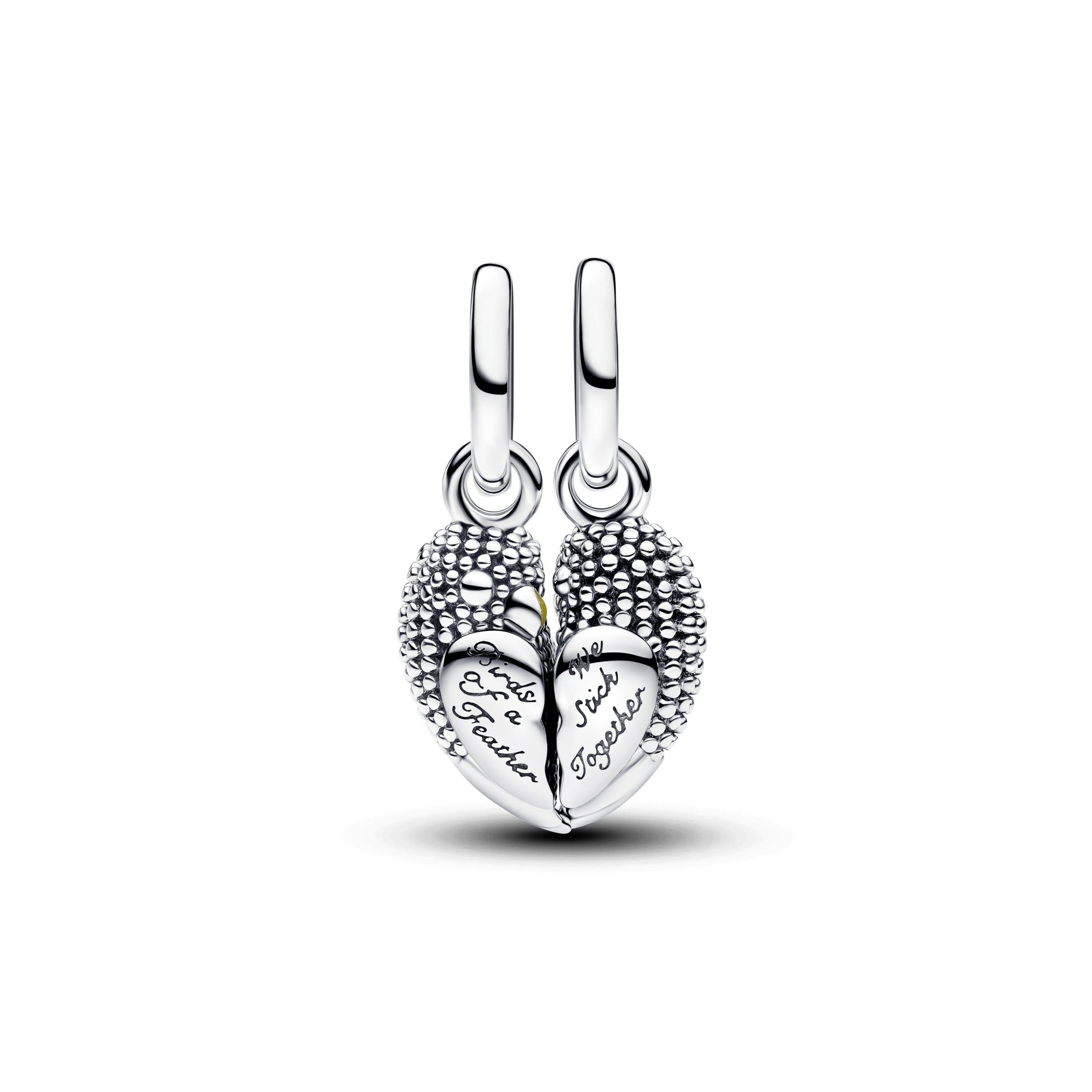 Magnetic Love Birds Silver Charm