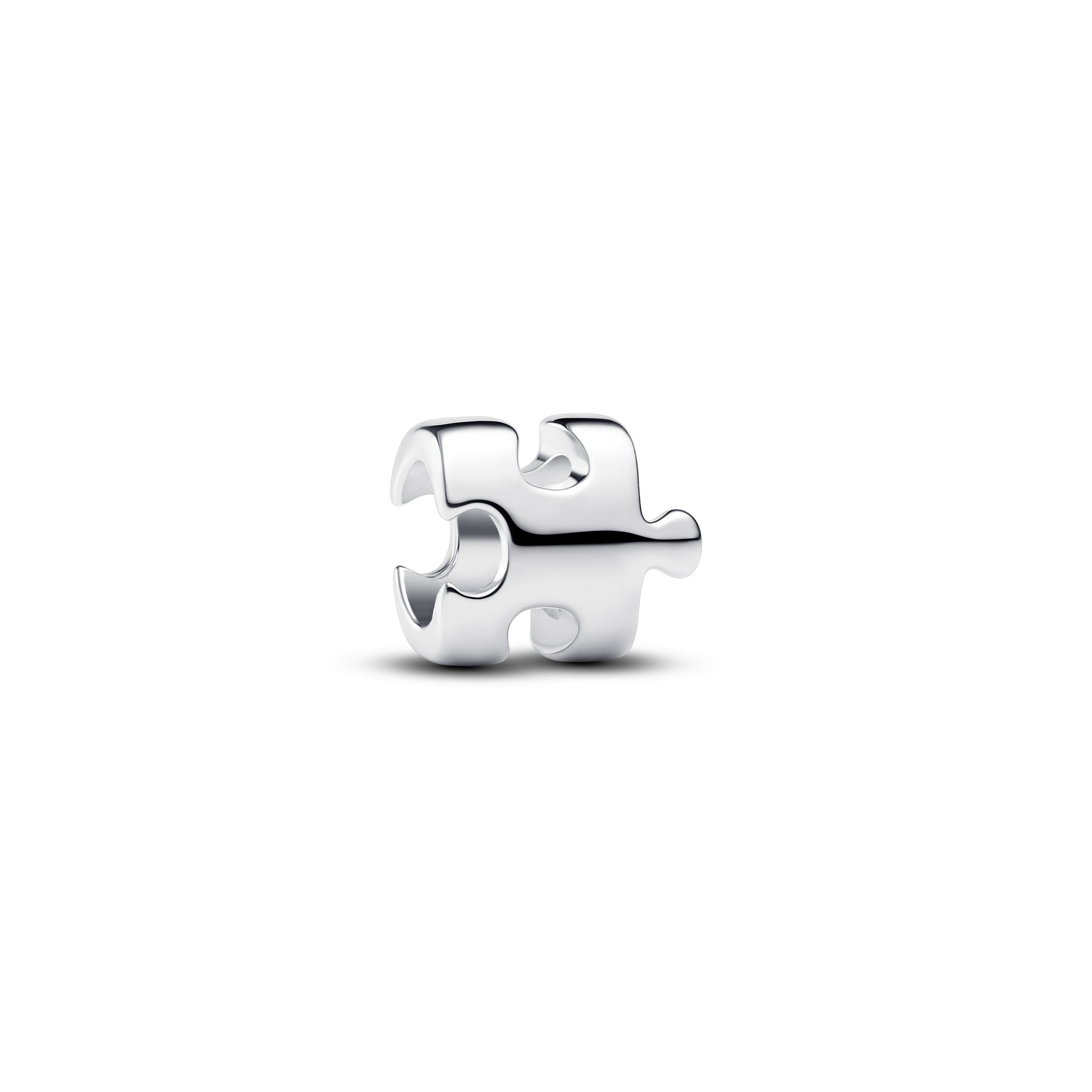 Puzzle Piece Mini Charm