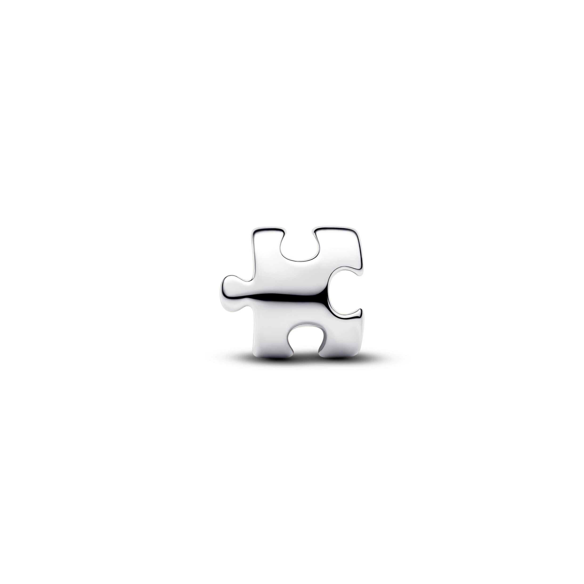 Puzzle Piece Mini Charm