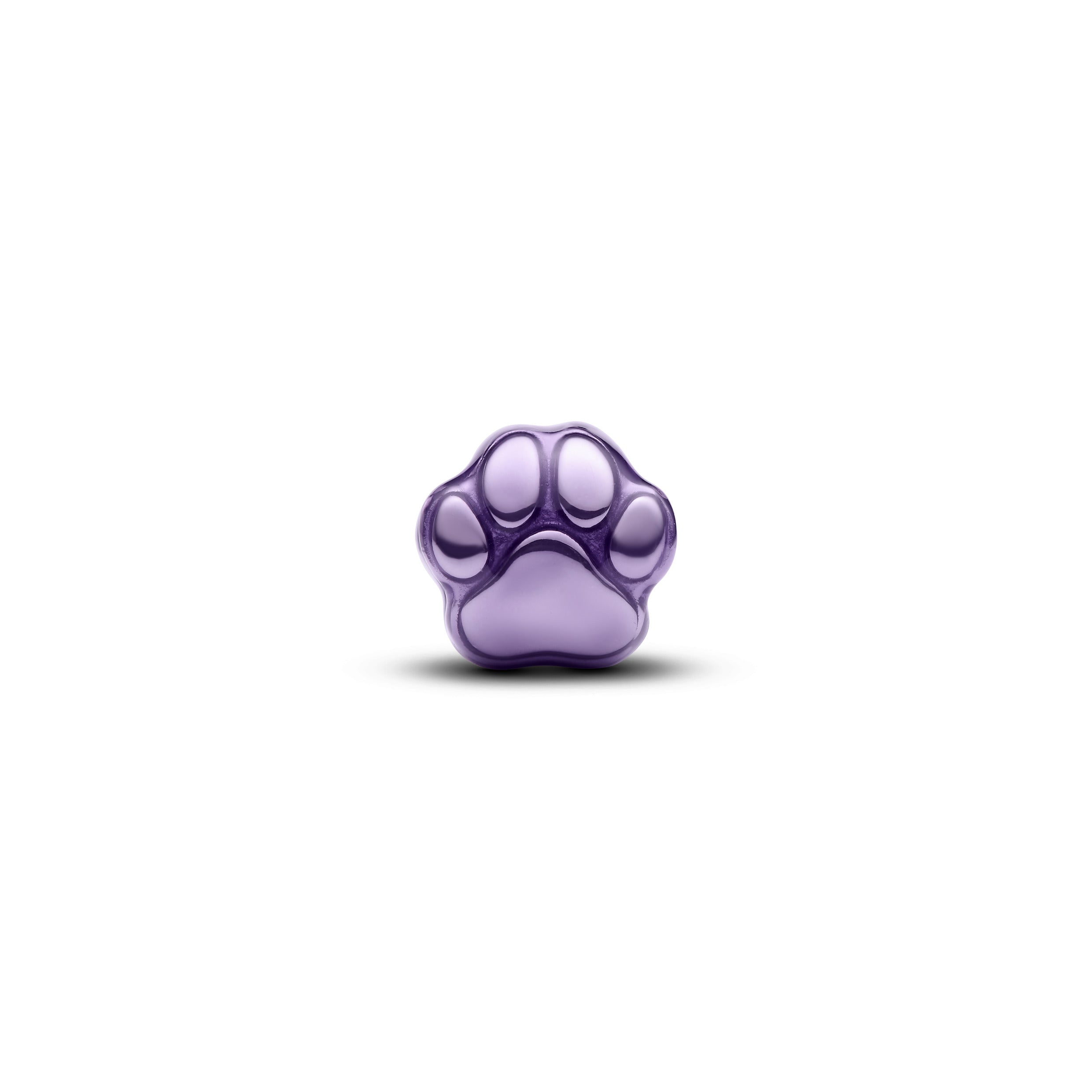 Paw Mini Charm