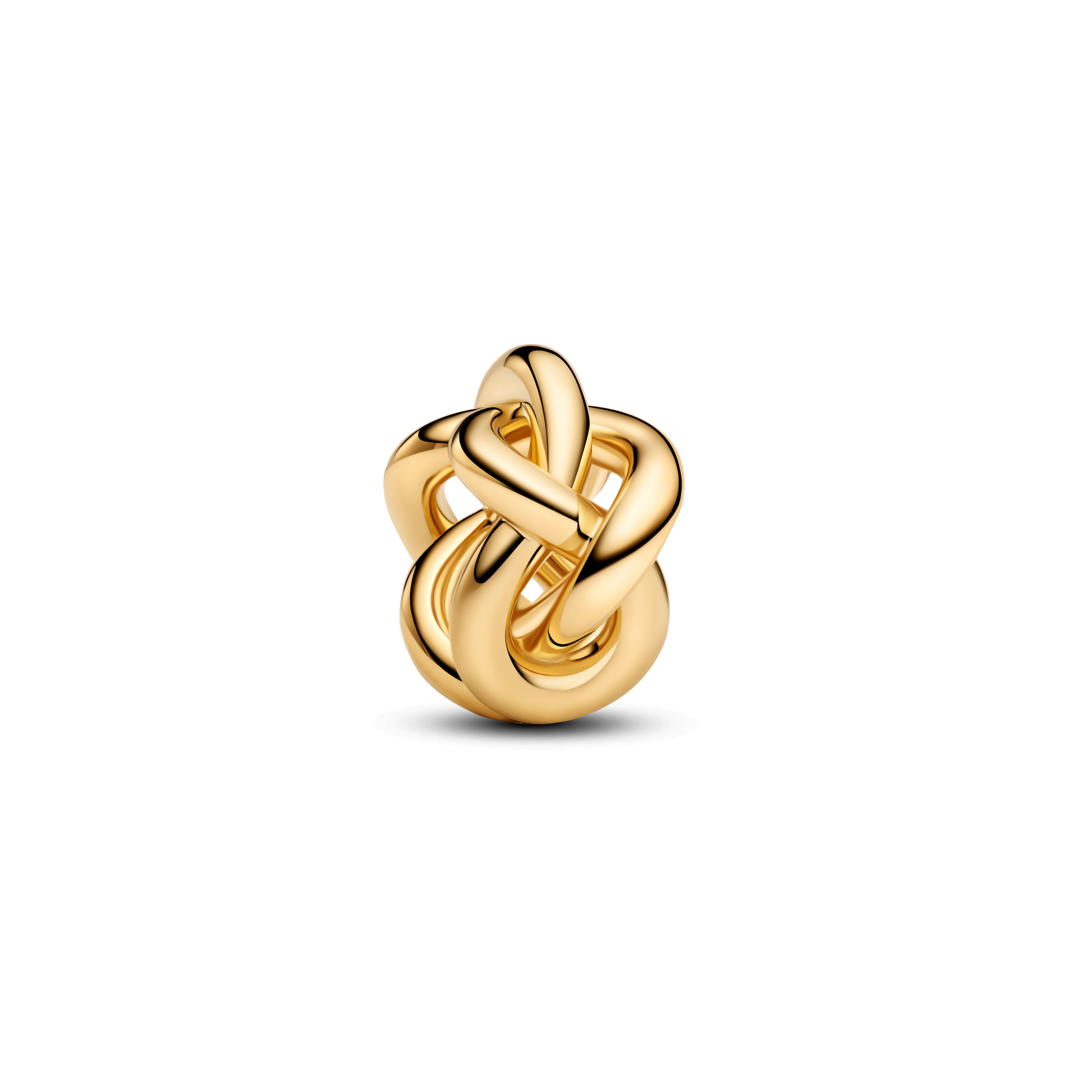 Infinity Knot Charm