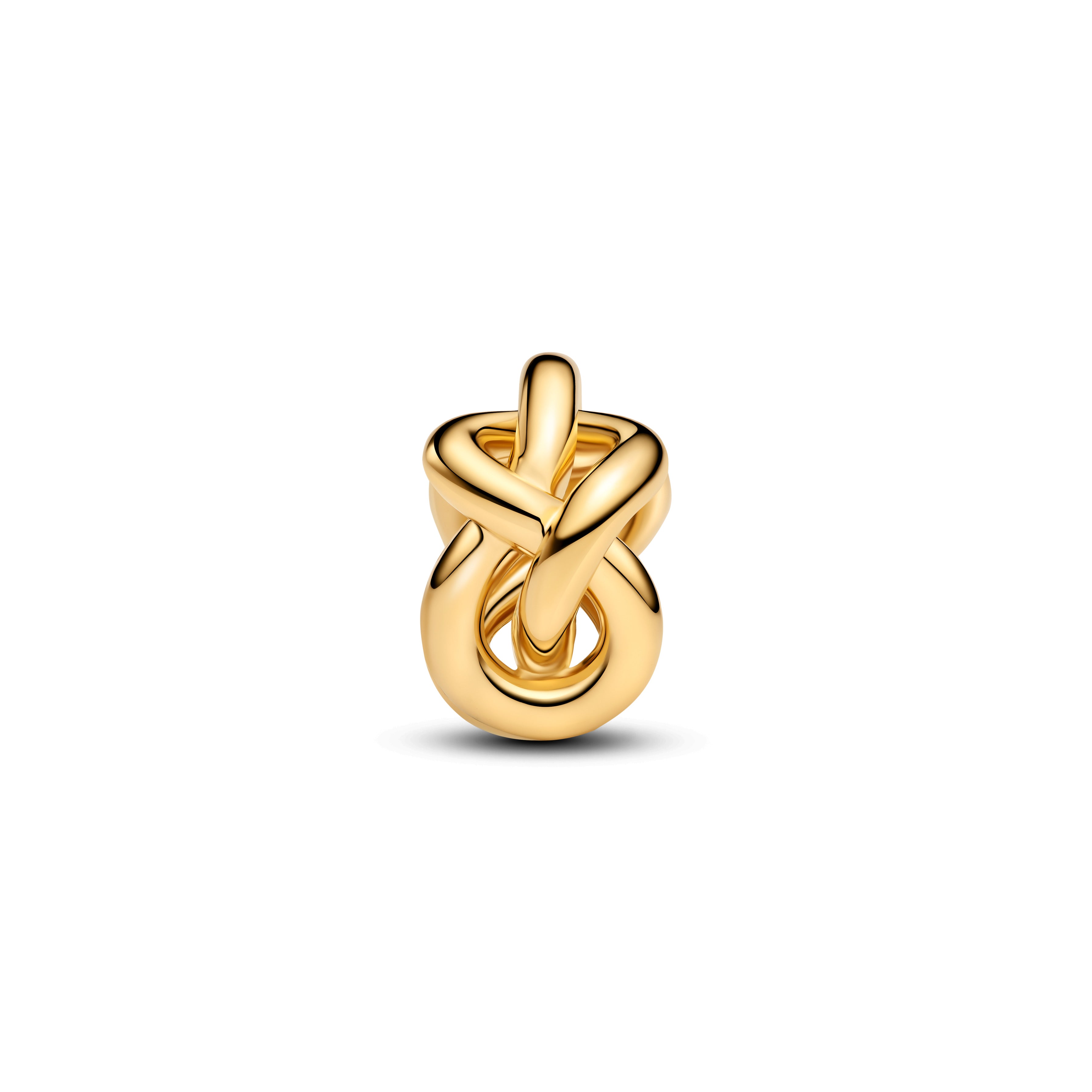 Infinity Knot Charm
