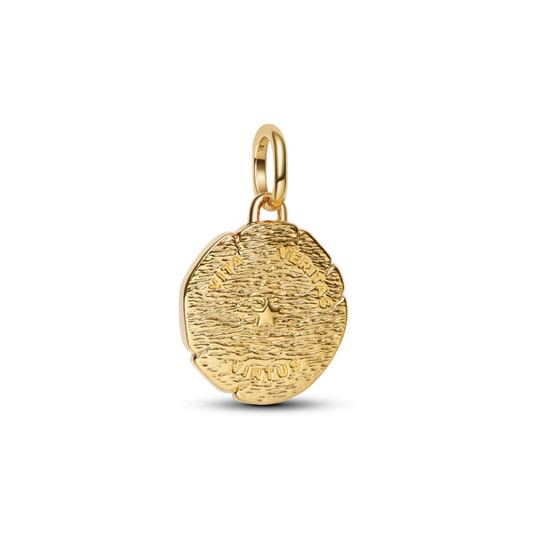 Lion Medallion Charm
