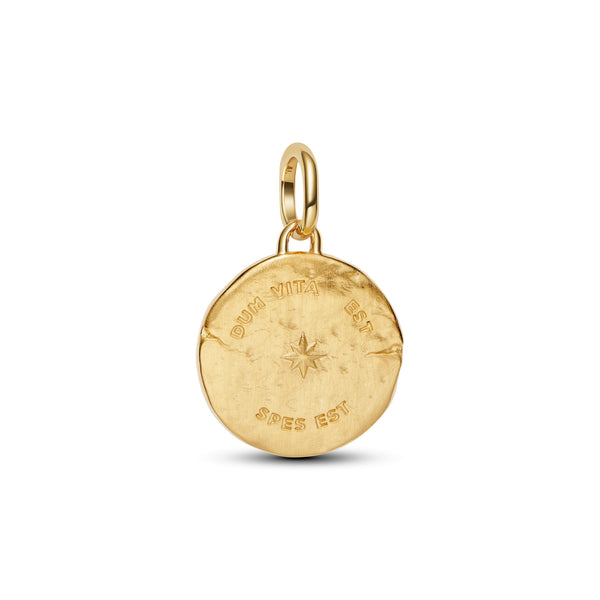 Swallow Medallion Charm