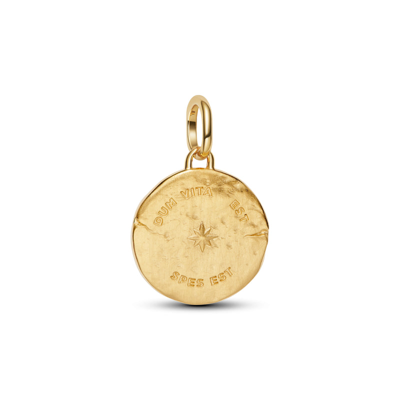 Swallow Medallion Charm