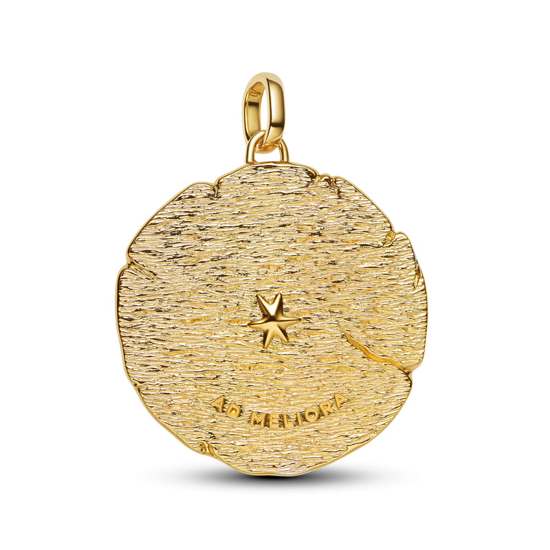 Crossing Arrows Oversized Medallion Charm