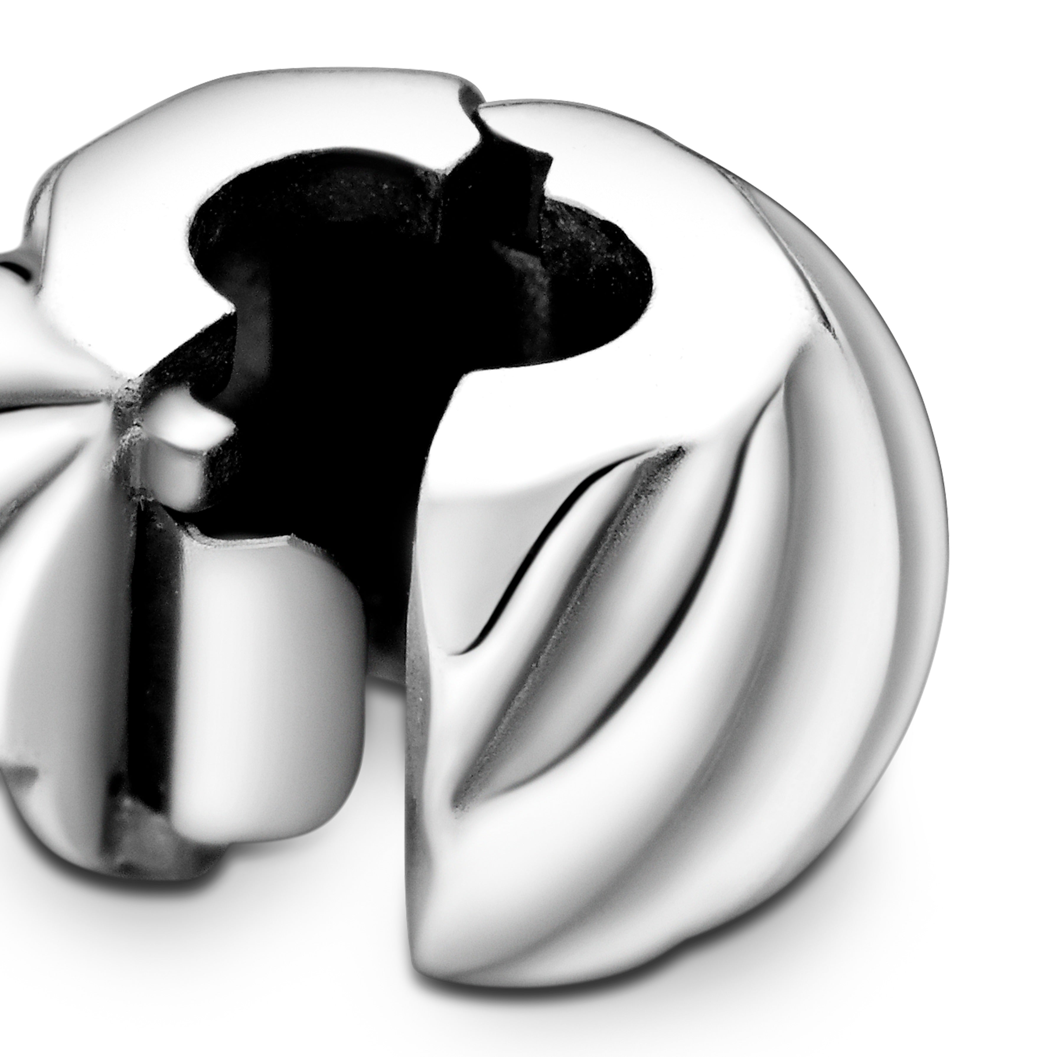 Polished Feathered Clip Charm