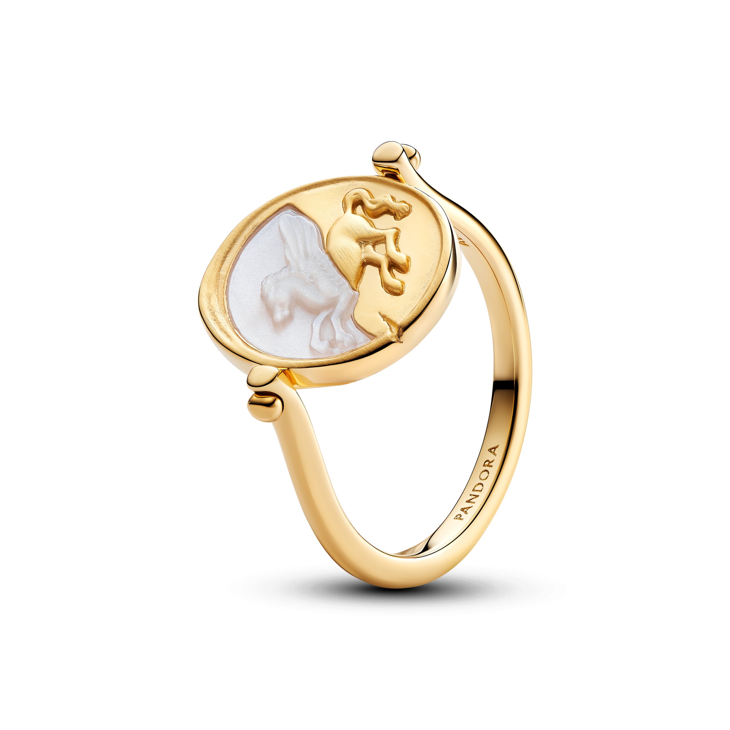 Pegasus Spinnable Ring