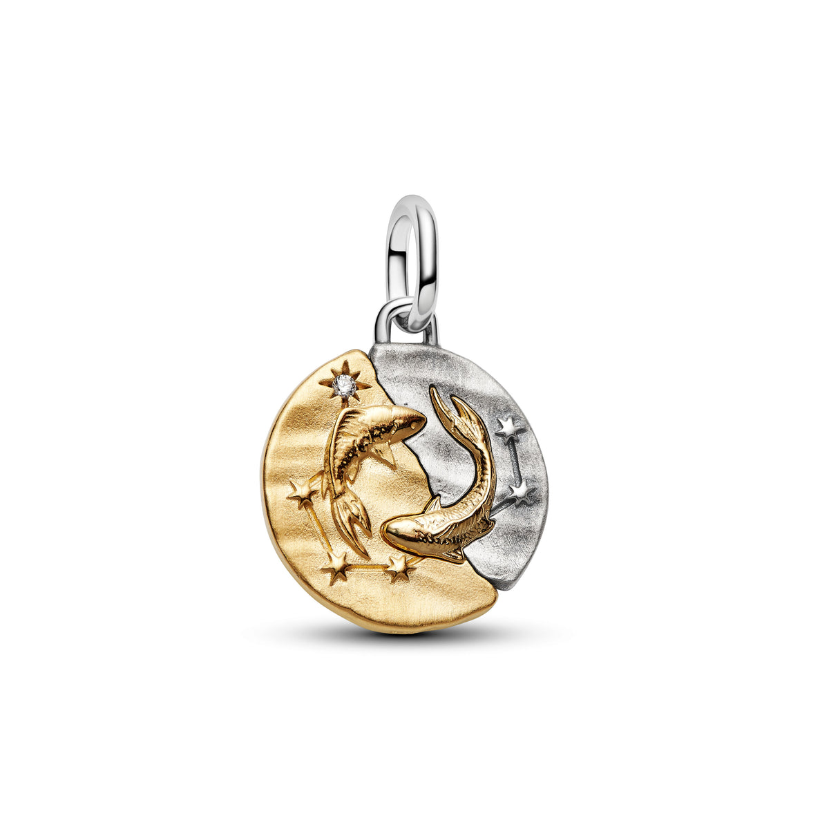 Pisces Medallion