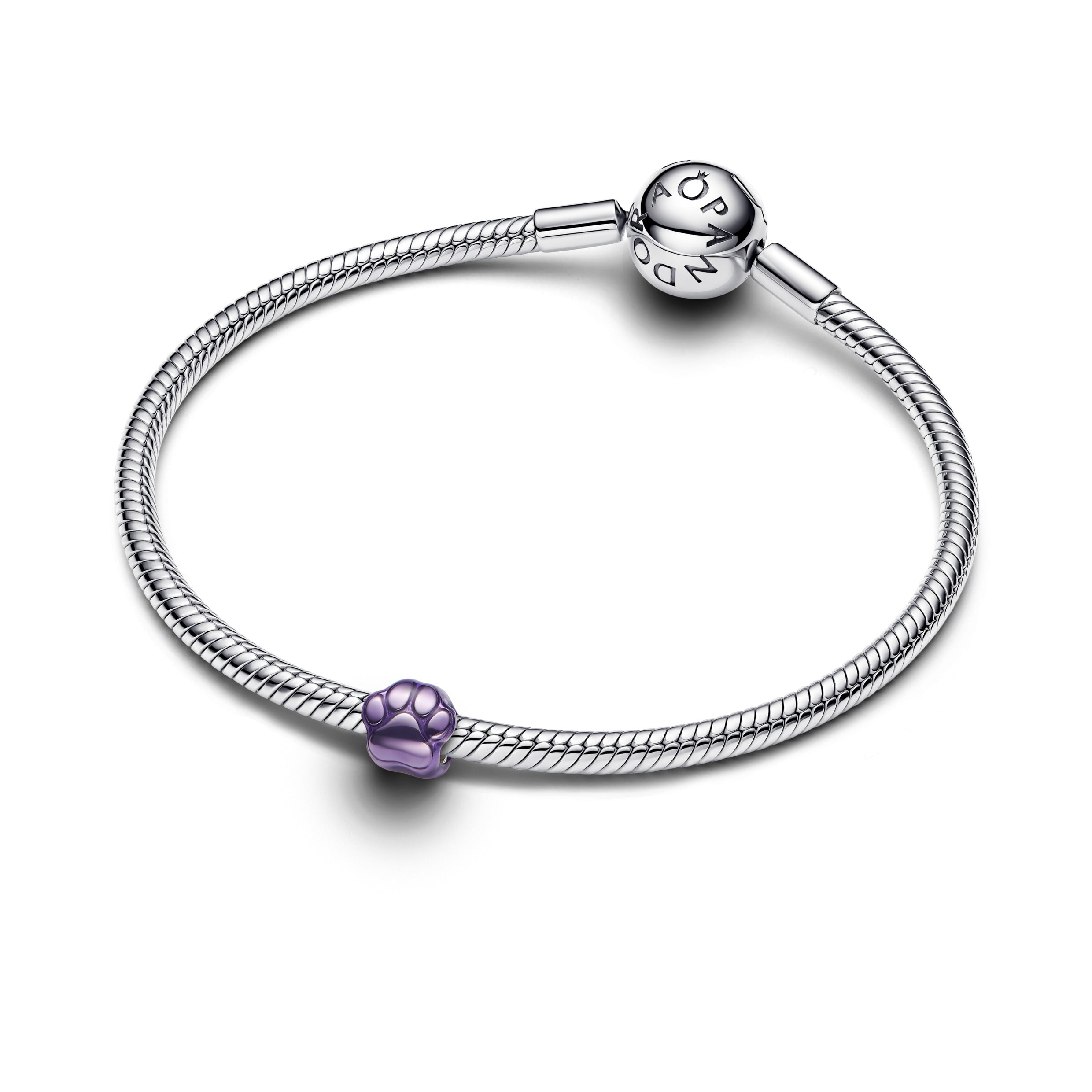 Paw Mini Charm