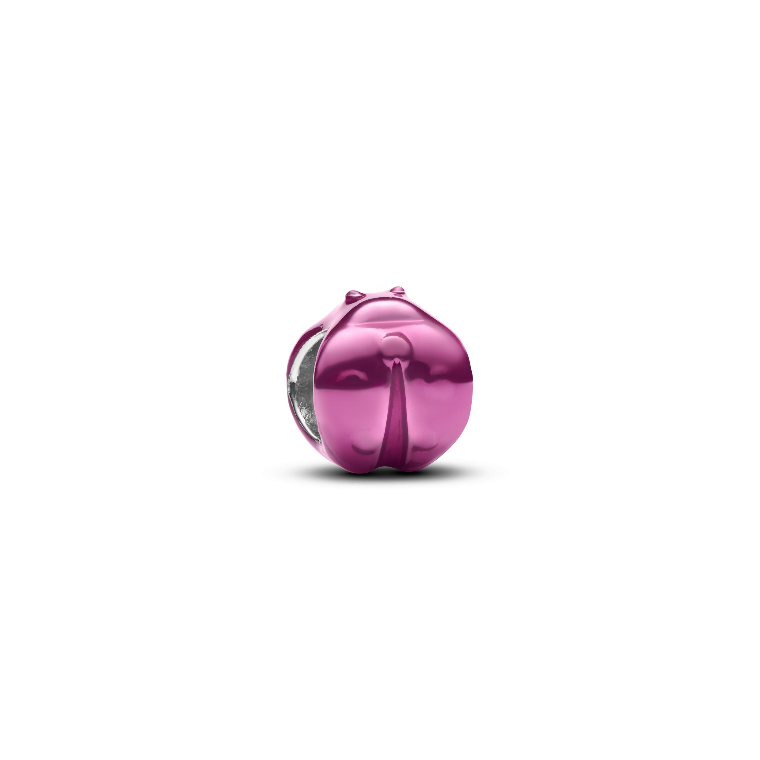 Ladybug Mini Charm