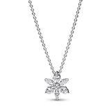 Herbarium Cluster Silver Collier