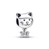 Cat Charm